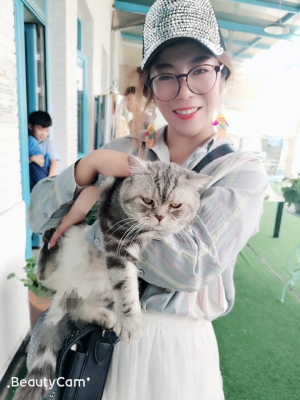 小黑猫的第一张照片--许昌相亲服务中心
