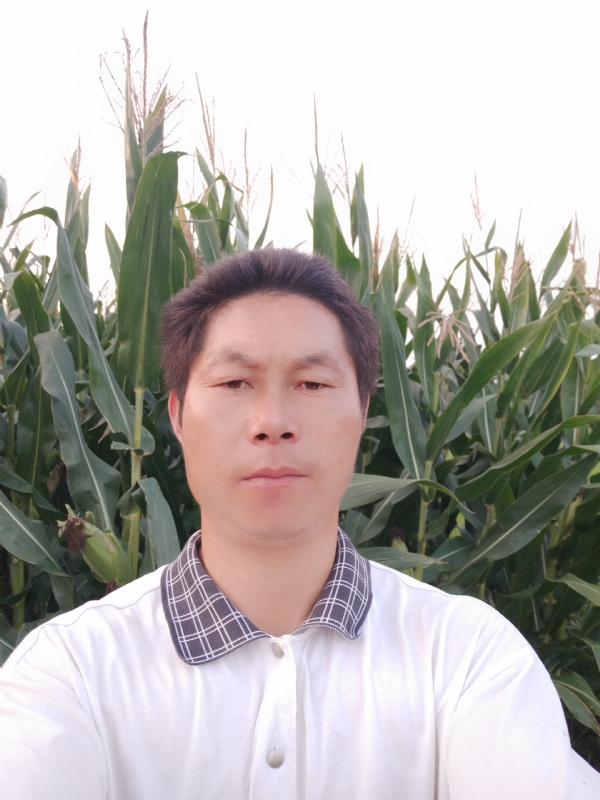 四海游龙的第一张照片--许昌相亲服务中心