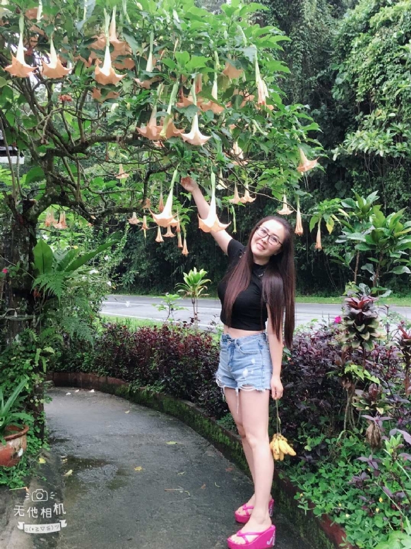 离异单身无子的第二张照片--许昌相亲服务中心