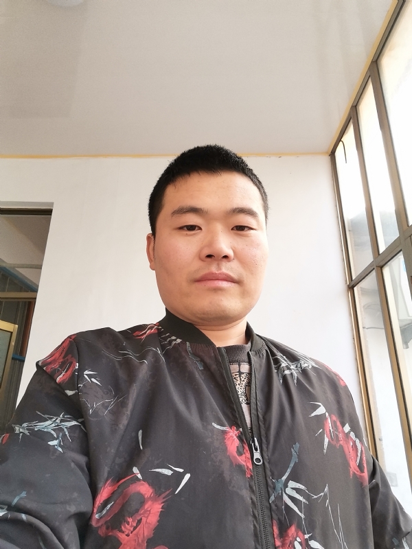 会飞的猪的第一张照片--许昌相亲服务中心