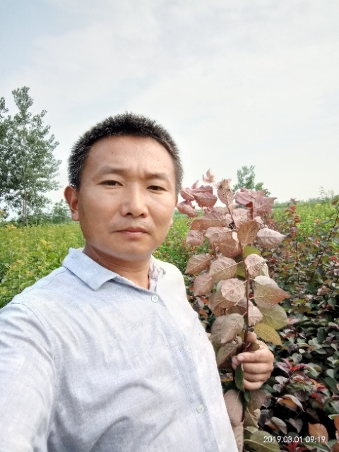 孩子爸的第一张照片--许昌相亲服务中心