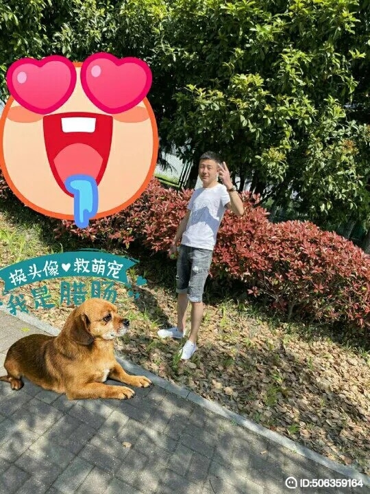 我若不坚强谁替我勇敢的第五张照片--许昌相亲服务中心
