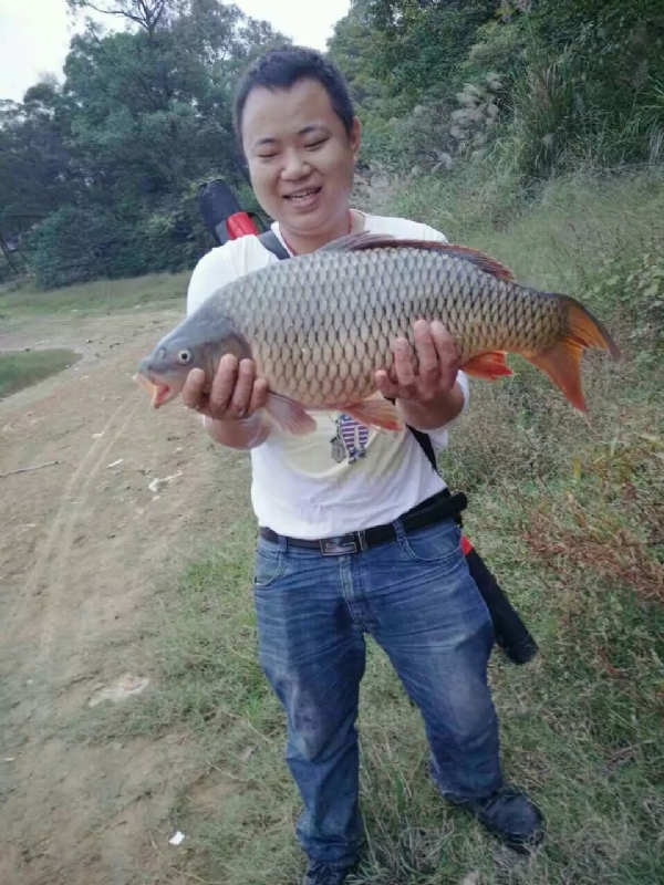 迷路的男人的第一张照片--许昌相亲服务中心