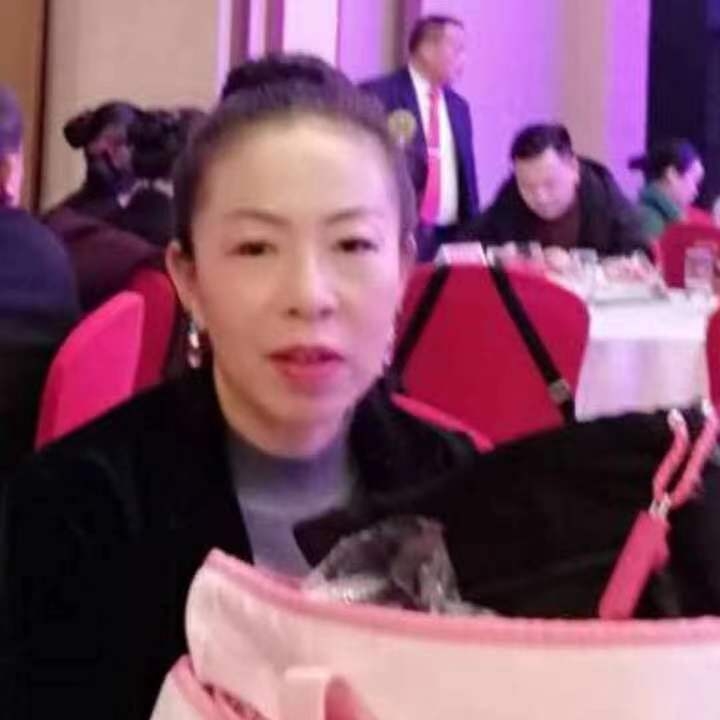 中秋桂花玉兔的第四张照片--许昌相亲服务中心