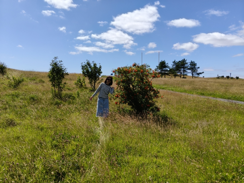 秋蝉的第一张照片--许昌相亲服务中心