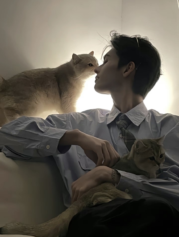 怪猫的第一张照片--许昌相亲服务中心