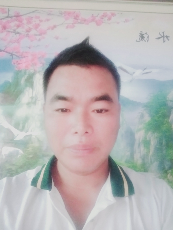 阳光男孩的第二张照片--许昌相亲服务中心