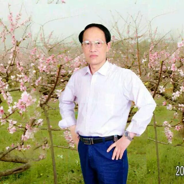枫叶的第一张照片--许昌相亲服务中心